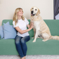 Sofa covers premium